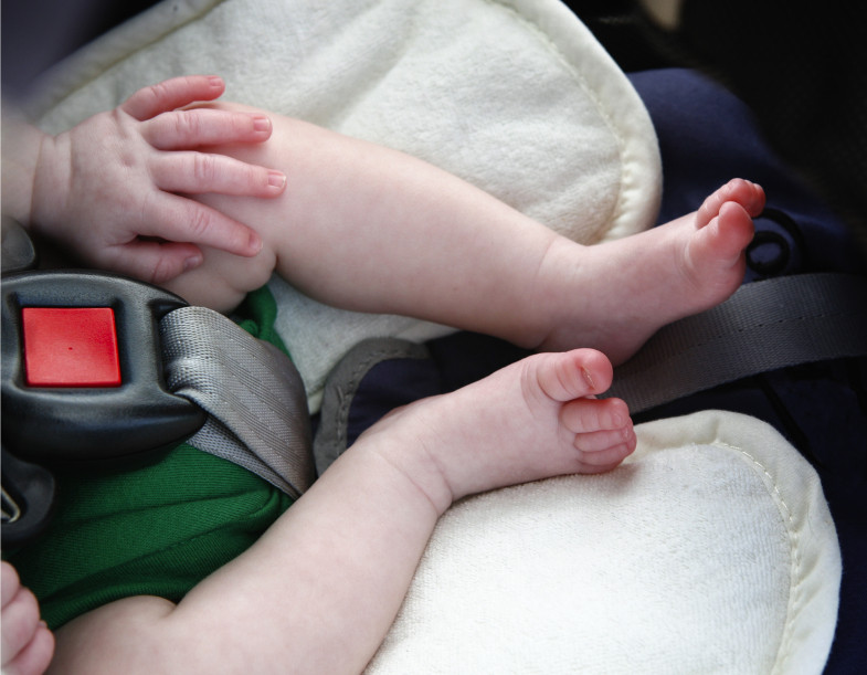 iStock_000016860786_Small.jpg